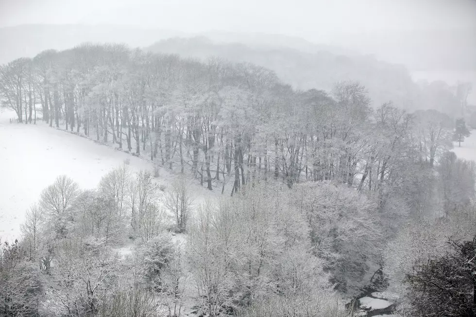 Millions Without Power in Texas as Winter Storm Slams US