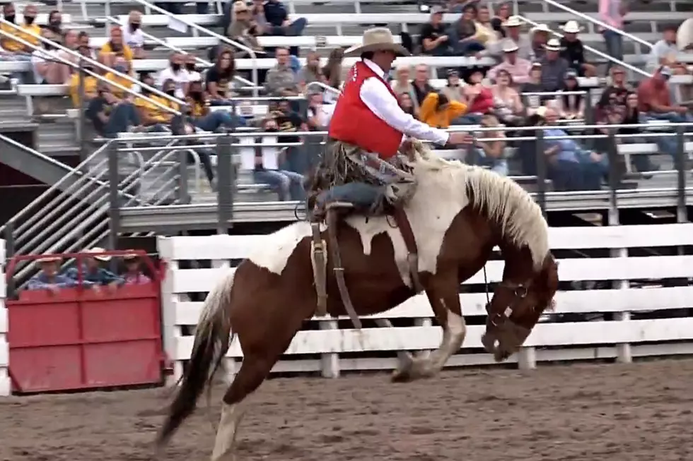 College Rodeo Season Resumes