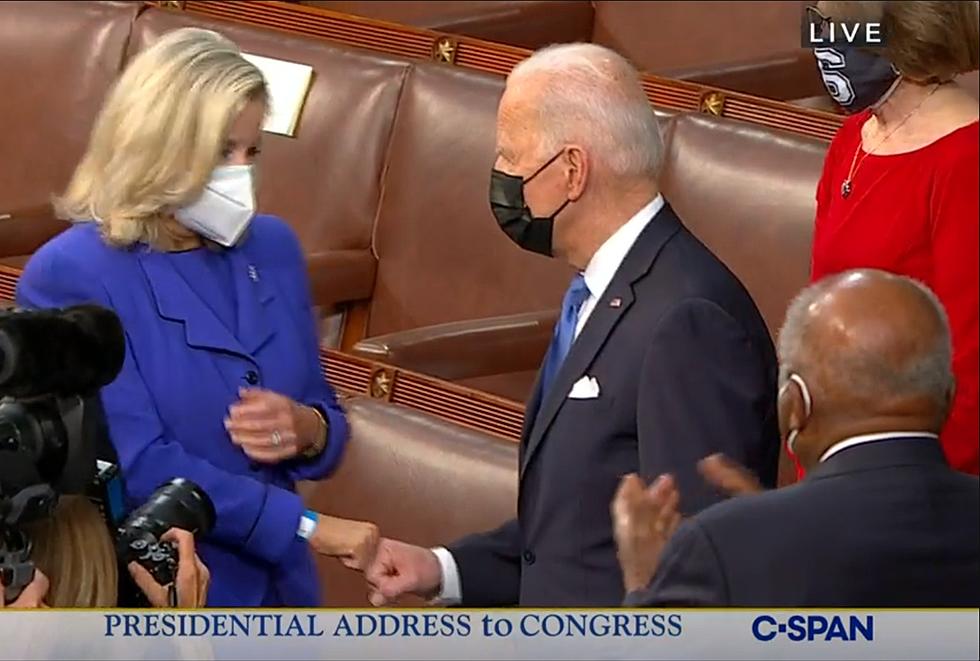 Cheney Responds to Critics of Her Biden Fist Bump