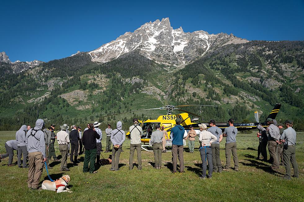 Search For Missing Grand Teton Hiker Continues