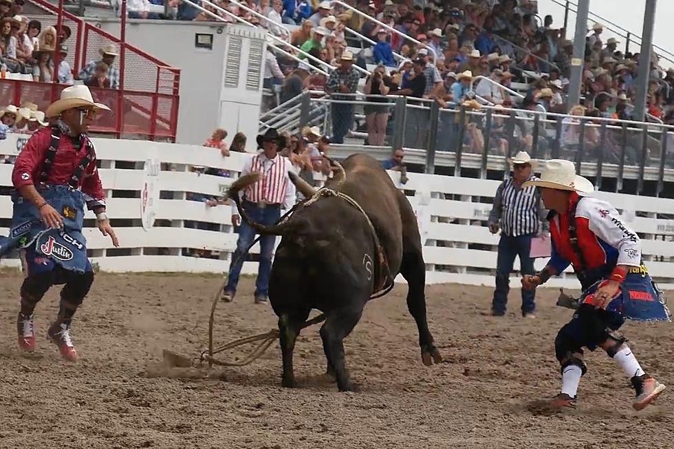 Veteran Bullfighters Working the Cheyenne Frontier Days Rodeo