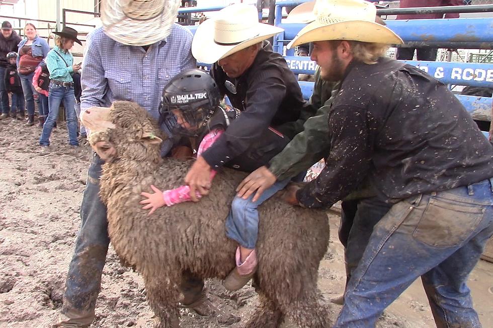 Central Wyoming Rodeo Mutton Bustin'-Tuesday [VIDEO]