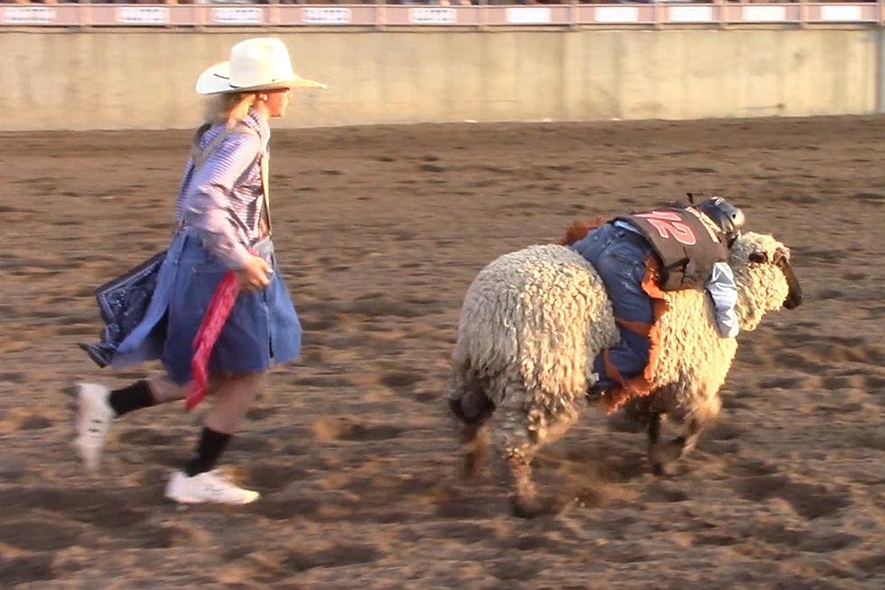 2021 Central Wyoming Rodeo Mutton Bustin&#8217;-Saturday