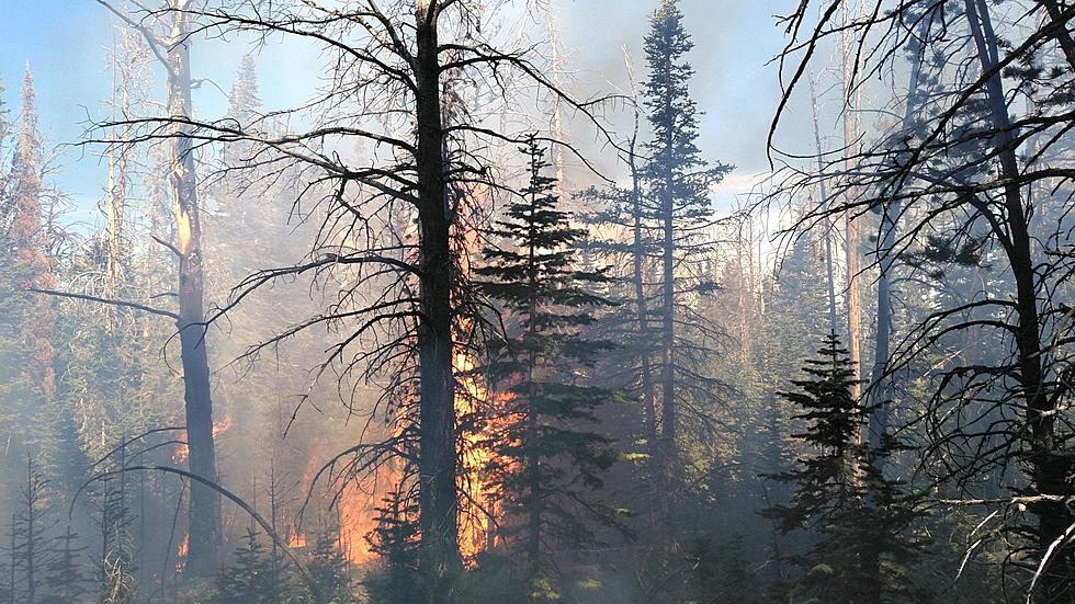 Sand Creek Fire Grows To 907 Acres; 30% Containment
