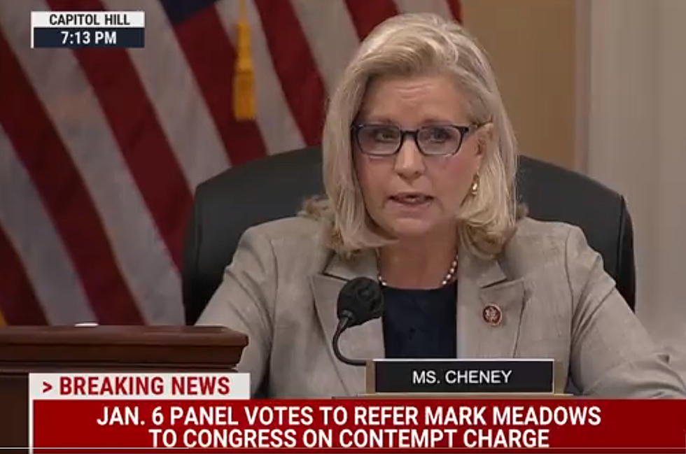 Liz Cheney Reads Text Messages from Trump Jr. and Fox News Hosts Regarding January 6 Capitol Attack
