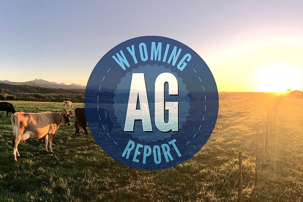 Wyoming AG Report