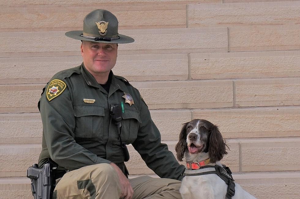Good Girl, Great Job: Wyoming Highway Patrol K-9 Retires