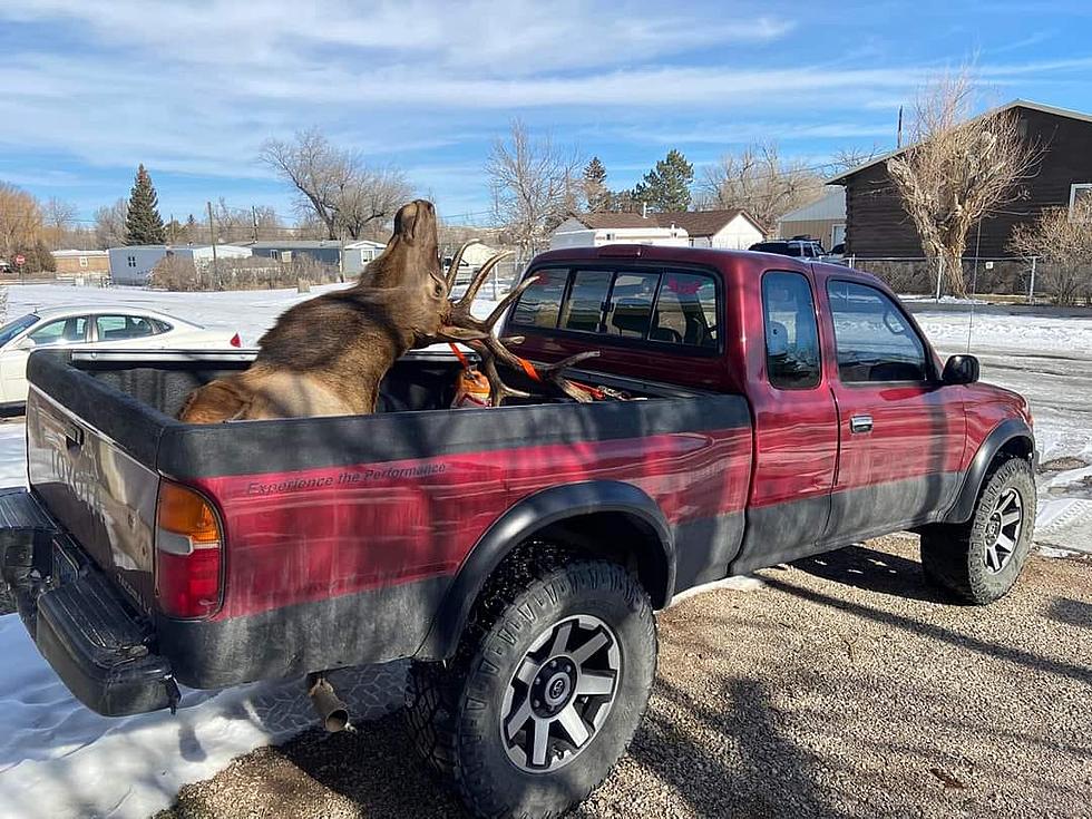 Evansville Police Department Reports Running Vehicle Stolen Out of Driveway