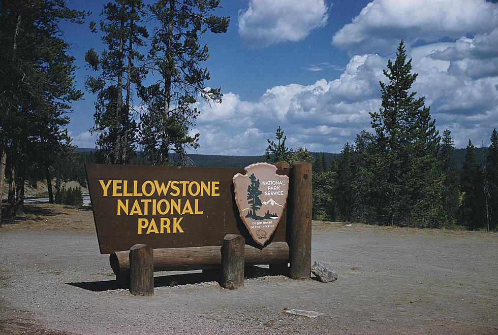 Yellowstone National Park South Entrance Opens Friday