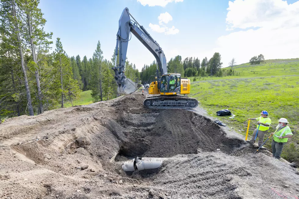 Several Yellowstone Entrances Open for Free on Sunday and Monday