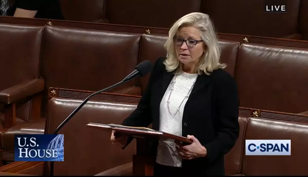Cheney Introduces Bill Seeking to Make Telehealth Changes Due to COVID-19 Permanent
