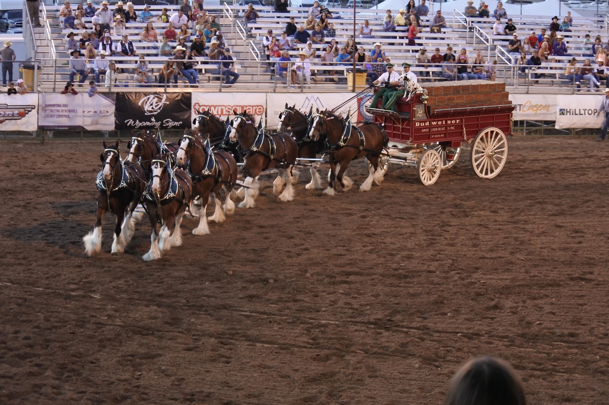 Central wyoming fair and rodeo