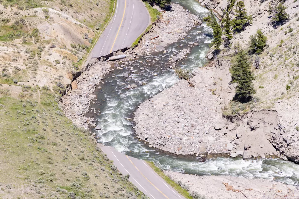 Yellowstone to Close North Entrance Road for Repairs on Evenings in June
