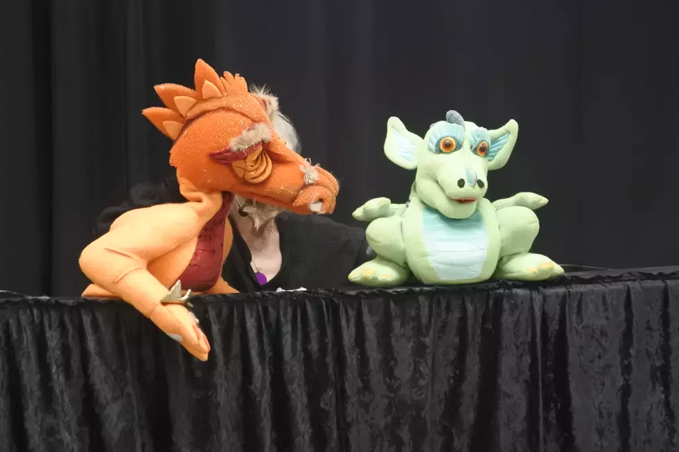 Natrona County Library Puppet Show