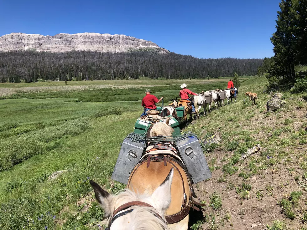 WATCH: Wyoming Game & Fish stock fish by horseback!