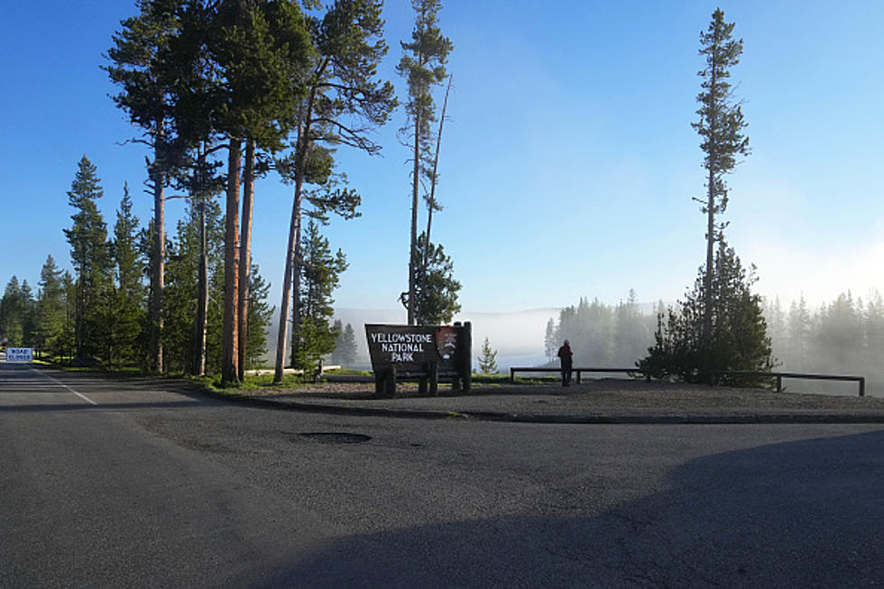 Yellowstone had Over 300,000 Fewer Visitors this August Versus 2021