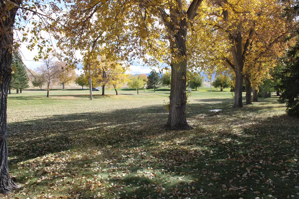 Leaves are Falling in the Casper-area, Freezing Temps Tomorrow