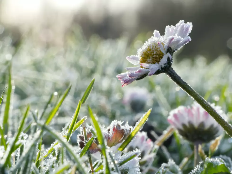 Another Sunny Day in Casper, Possibility of Frost this Weekend