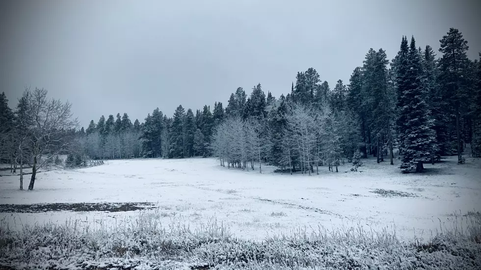 VIDEO: First Snow Frosts Casper Mountain on Sunday
