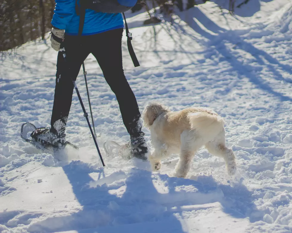 Arctic Winds, Heavy Snow Showers in Natrona County