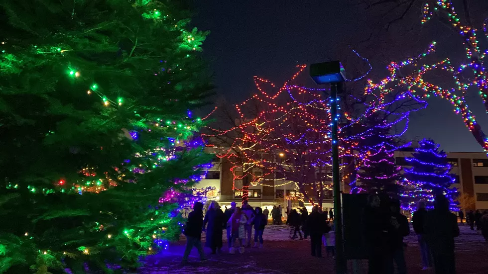 PHOTOS: 2022 Holiday Square Tree Lighting Ceremony Kicks Off Christmas Season