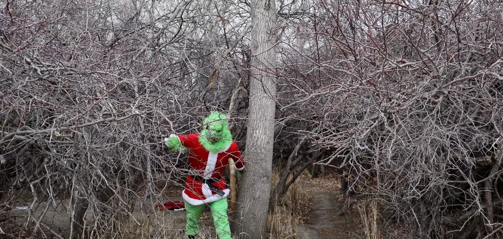 He’s Baaaack: CPD Warns That ‘The Grinch’ Has Returned to Casper Just in Time For Christmas