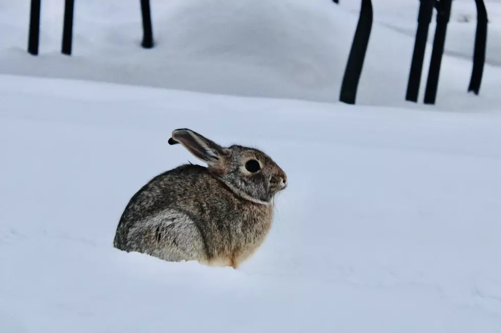 Arctic Air Mass Bringing Bitter Cold to Natrona County Next Week