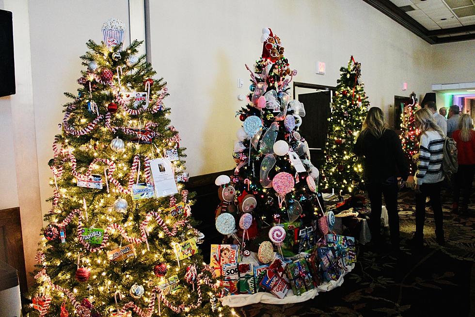 PHOTOS: Hundreds Show for the Annual Festival of Trees in Downtown Casper