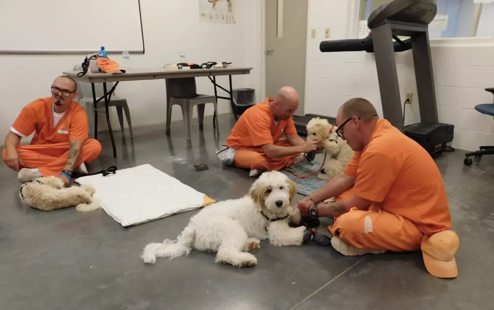 Wyoming State Penitentiary Adopts Dog Training Program