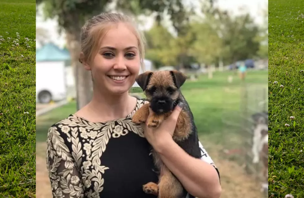 Doggone! Casper Native Participating in USA's Biggest Dog Show