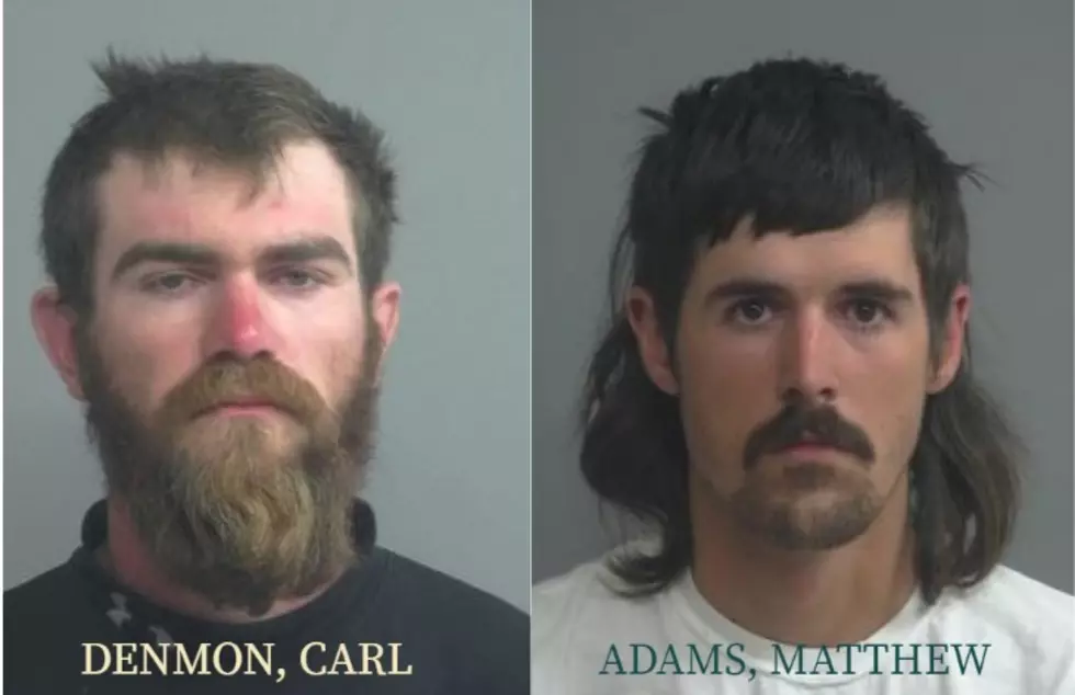 Two Men Get Jail Time, Lose Hunting Privileges for Numerous Wildlife Crimes