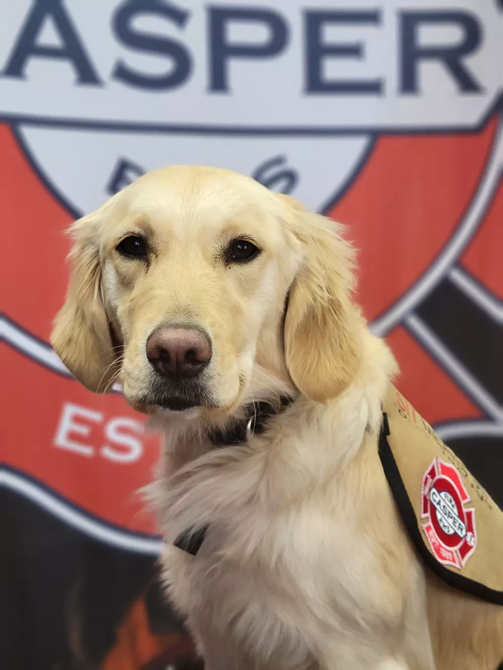 Casper Fire-EMS Appoints Two Therapy Dogs for the Very First Time