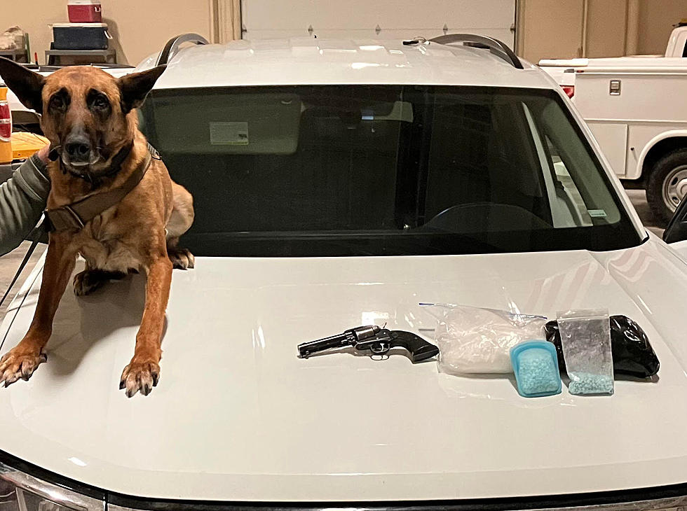 Wyoming Highway Patrol K-9 Assists in Major Fentanyl/Meth Bust