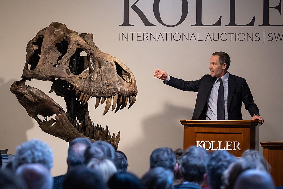 T. Rex Skeleton Sells for More Than $5M at Zurich Auction