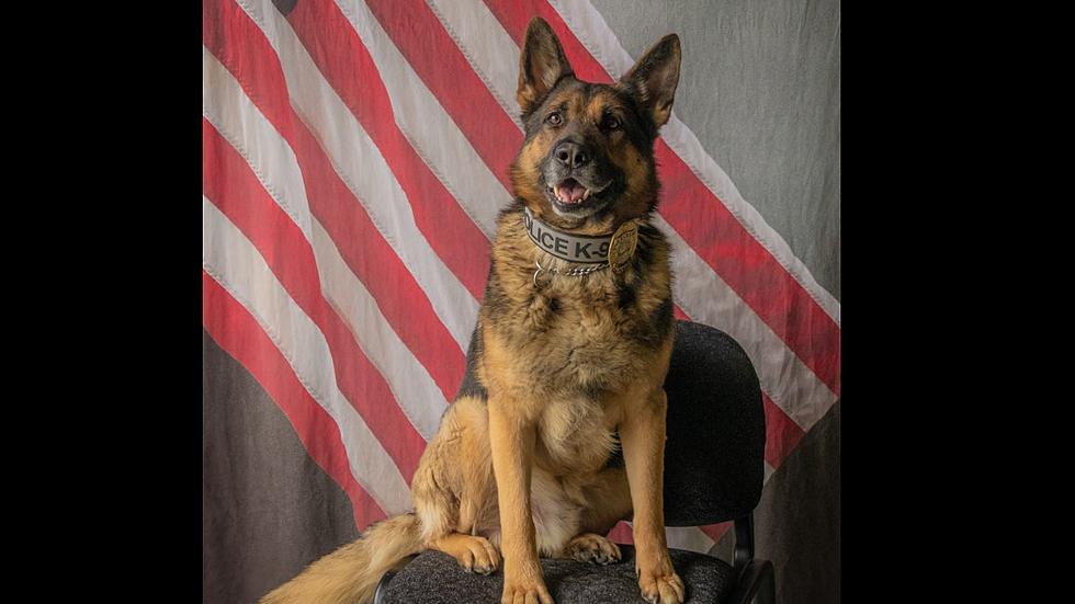Mills Police Department Share News about K9 Archer