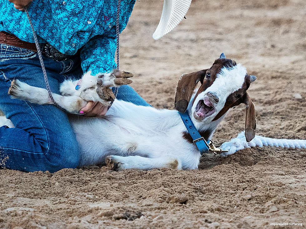 California Organization Outraged by CNFR Slamming Goats