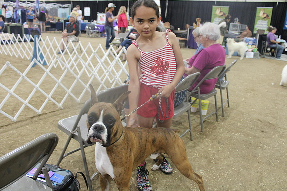 PHOTOS: Canines Strut their Stuff at the Oil City Classic Dog Show in Casper