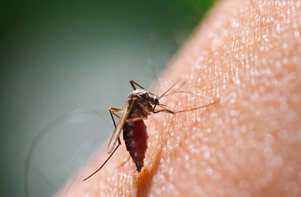 Wyoming Health Department says West Nile Virus Cases Are on the Rise