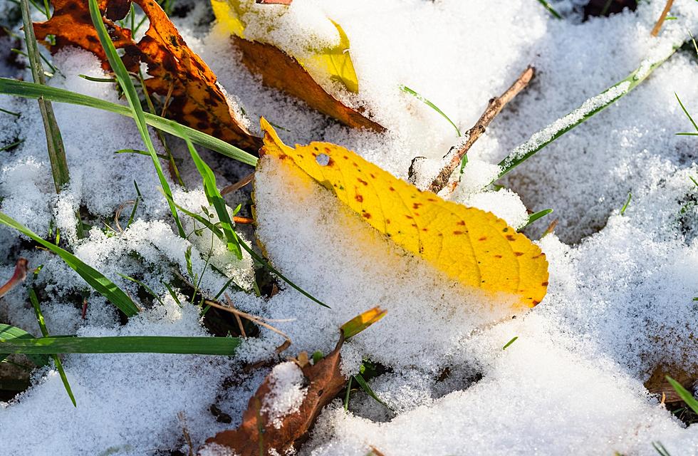 Possibility of Snow in Central Wyoming on Thursday