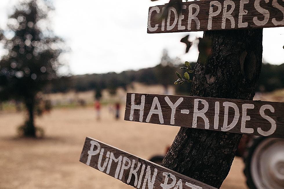 Mills Spring Ranch Invite Public to Hayrides on Casper Mountain