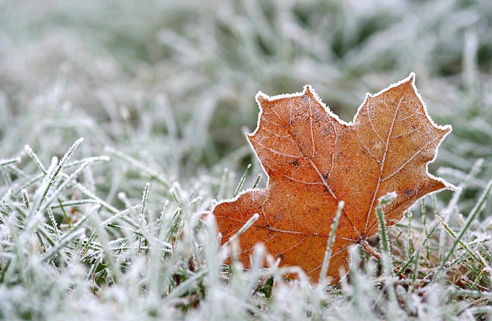 Jack Frost Coming to Casper-Area This Week