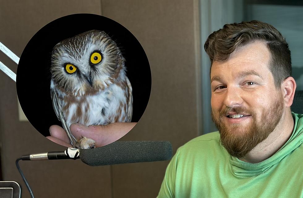PODCAST: Birding in Casper with Audubon Rockies Expert Zach Hutchinson