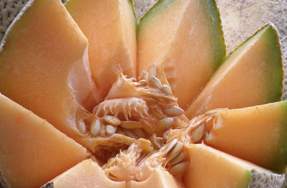 CDC Warns of Salmonella Outbreak Linked to Cantaloupes and Pre-cut Fruit Products