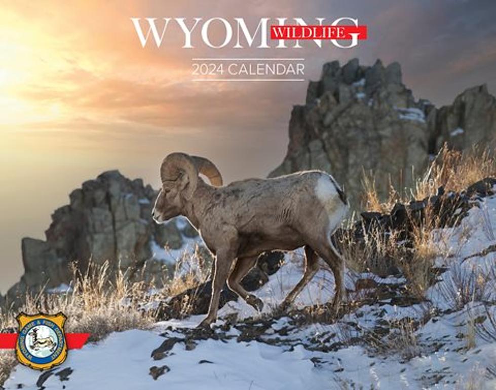 The 2024 Wyoming Game and Fish Wildlife Calendar is Now Available