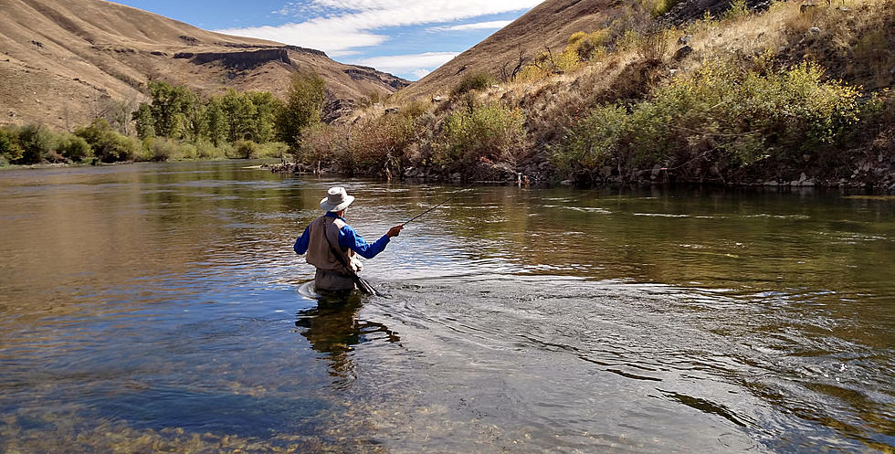 Governor Gordon Appoints Dave Glenn Director of Wyoming State Parks and Cultural Resources