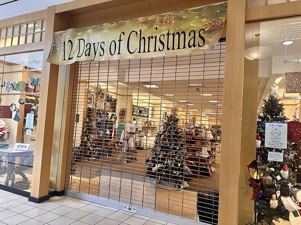 PHOTOS: Seasonal Christmas Store Celebrates 50 Years of Business, Doors Open Today