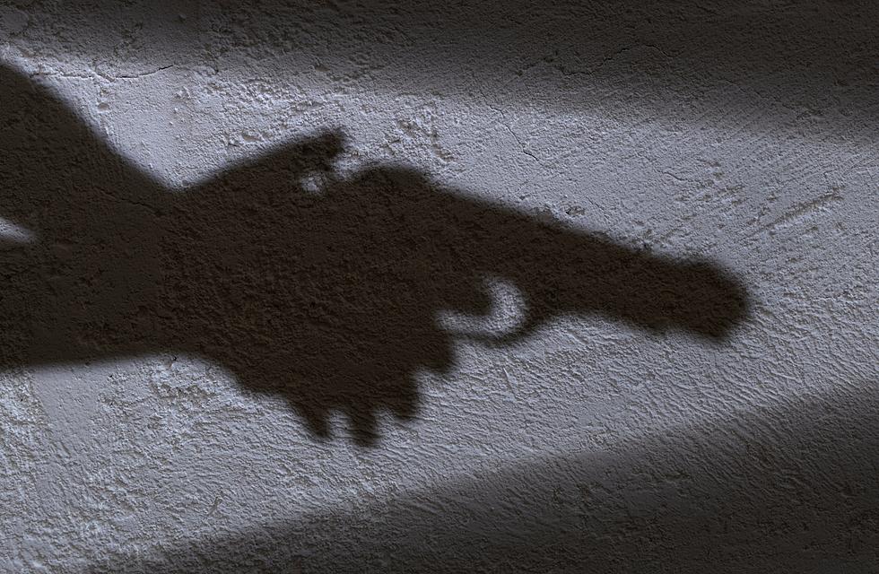 Pregnant Wyoming Woman Fends Off Burglars with a Gun
