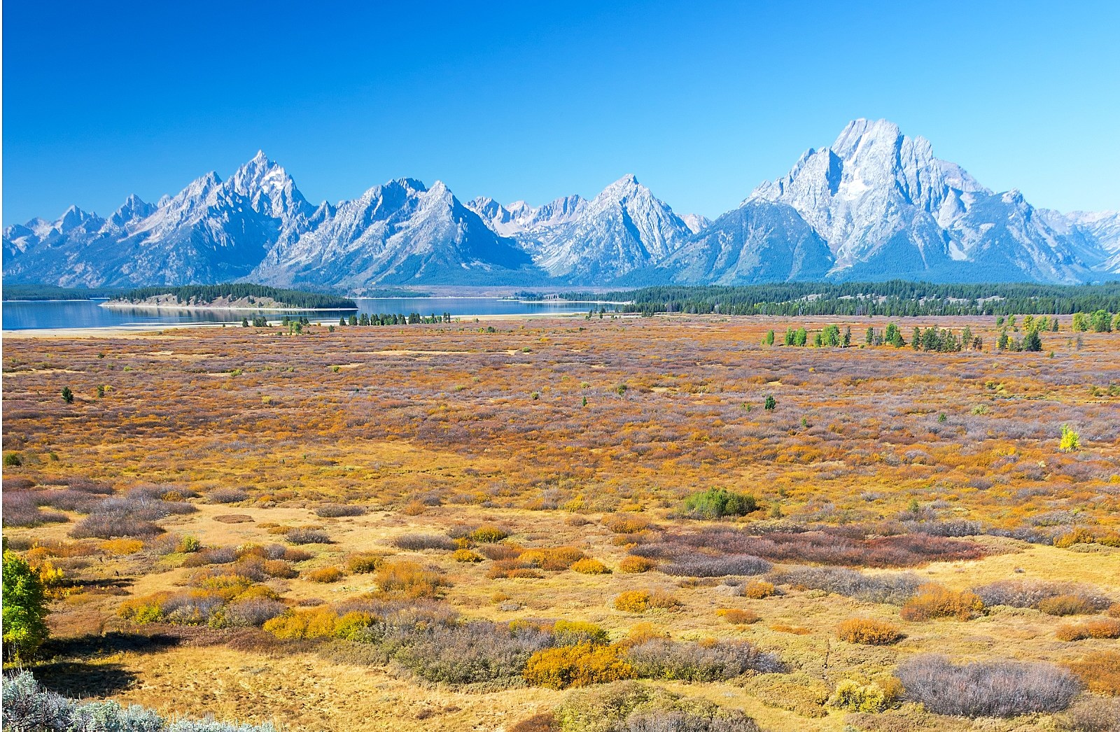 Wyoming holds off on auctioning huge piece of pristine land inside
Grand Teton