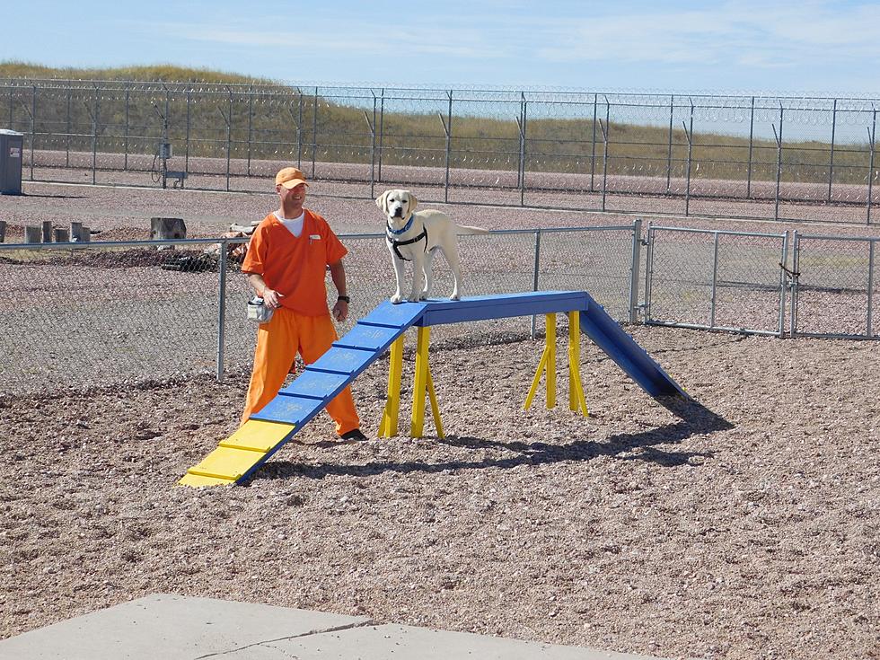 Wyoming Department of Corrections Canine Program Expands