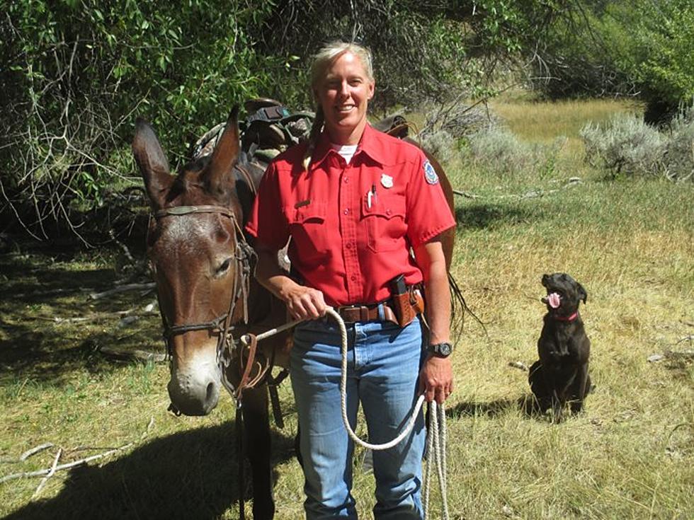 Wyoming&#8217;s Top Wildlife Officer Recognized for Her Dedication and Tenacity